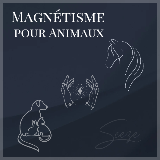 Magnetisme pour Animaux