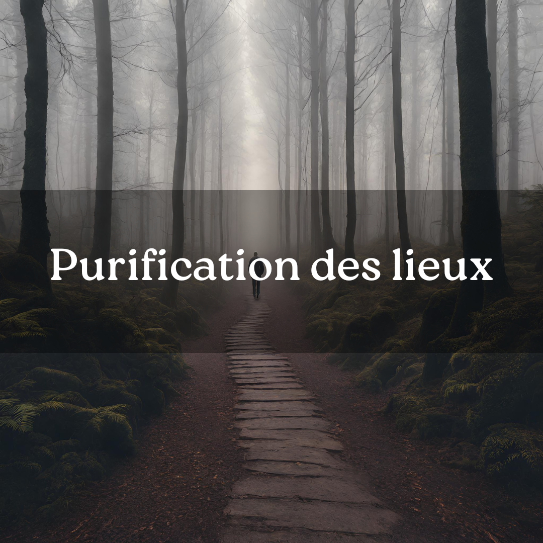 Purification des lieux – Seeze